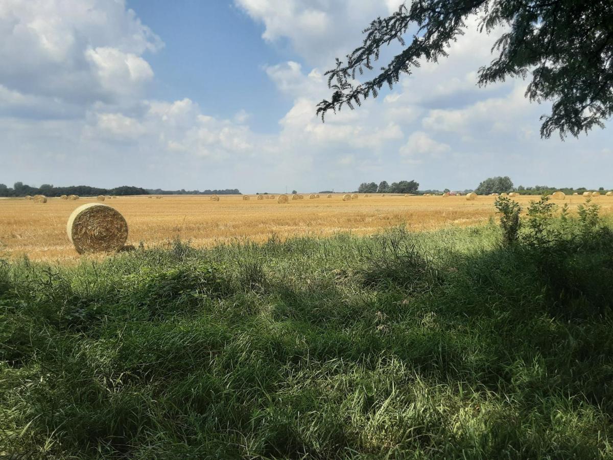 Herberg Tisza Tiszabábolna Zewnętrze zdjęcie