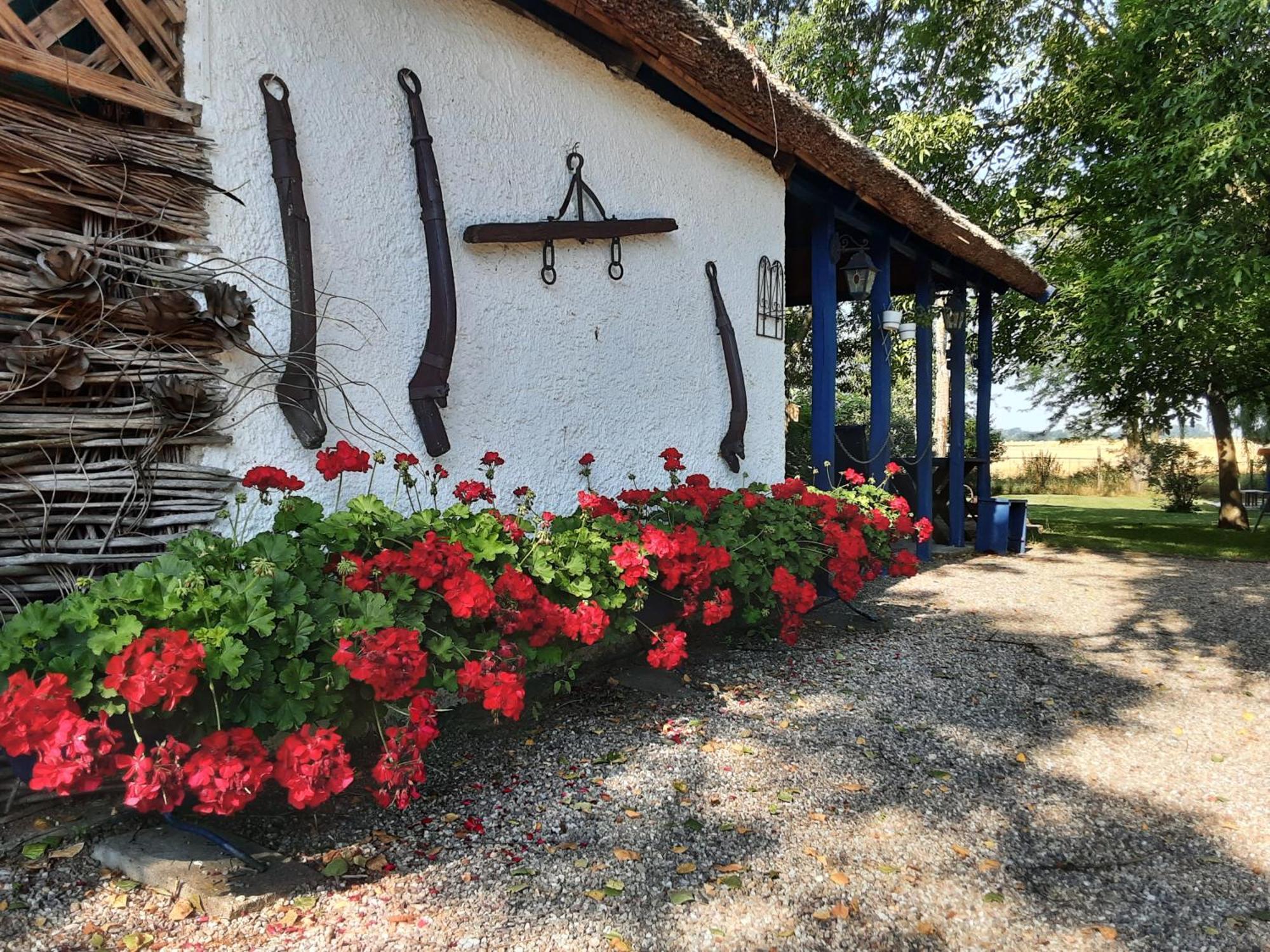 Herberg Tisza Tiszabábolna Zewnętrze zdjęcie